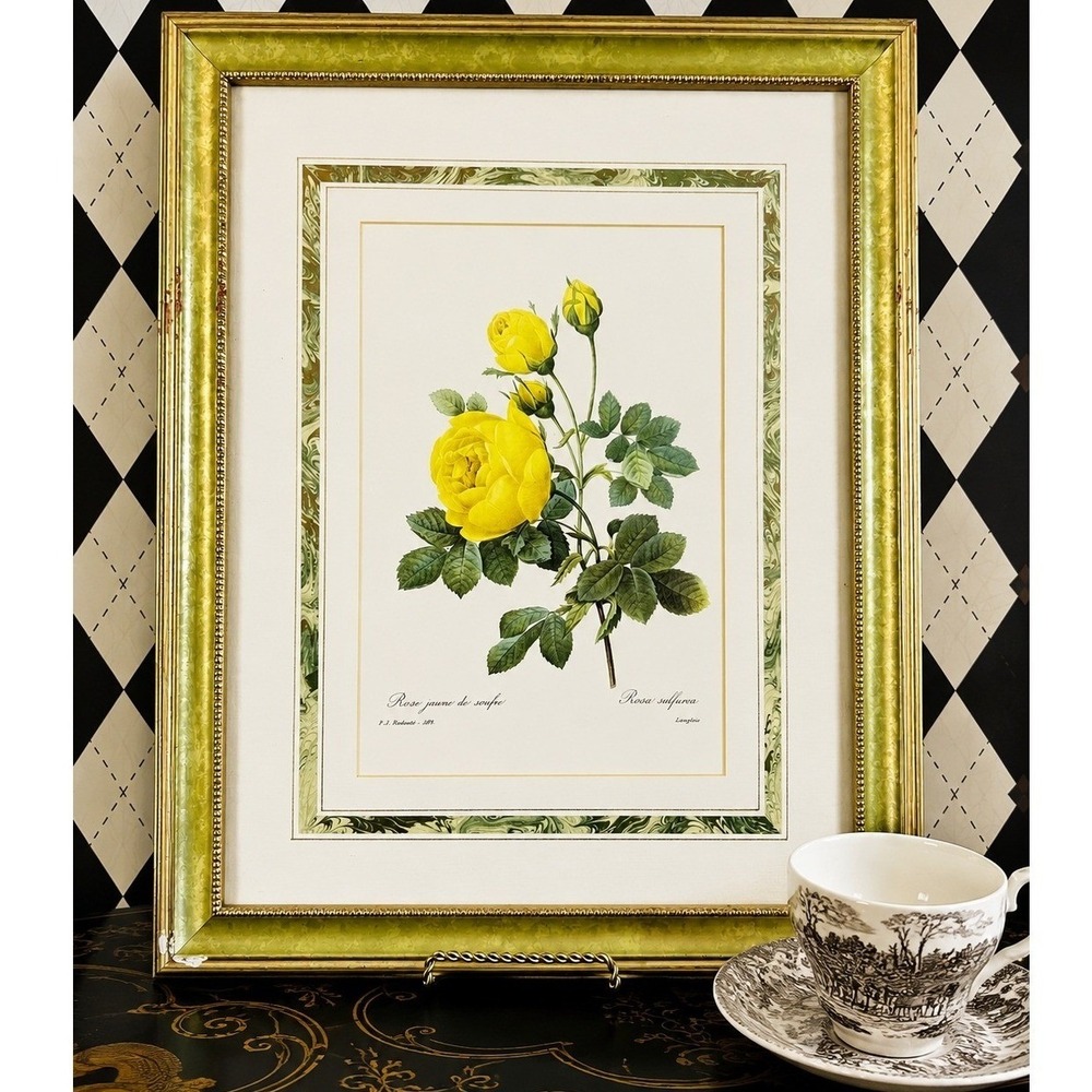 Large Botanical Lithograph Professionally Framed 21" Redouté French Floral Print
